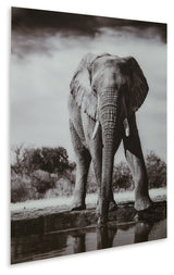 Glinyard Wall Art (Online Special Price) - Ornate Home