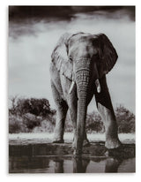 Glinyard Wall Art (Online Special Price) - Ornate Home