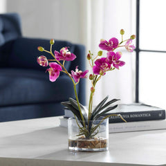 Glory Fuchsia Orchid - Ornate Home