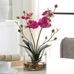 Glory Fuchsia Orchid - Ornate Home