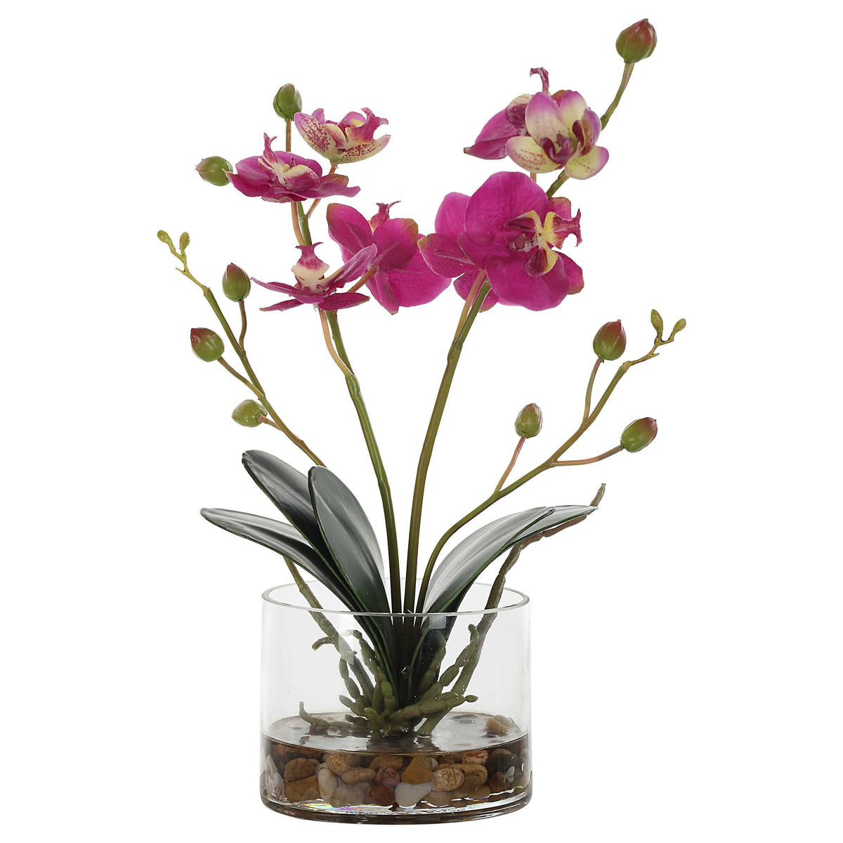 Glory Fuchsia Orchid - Ornate Home