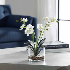 Glory White Orchid - Ornate Home