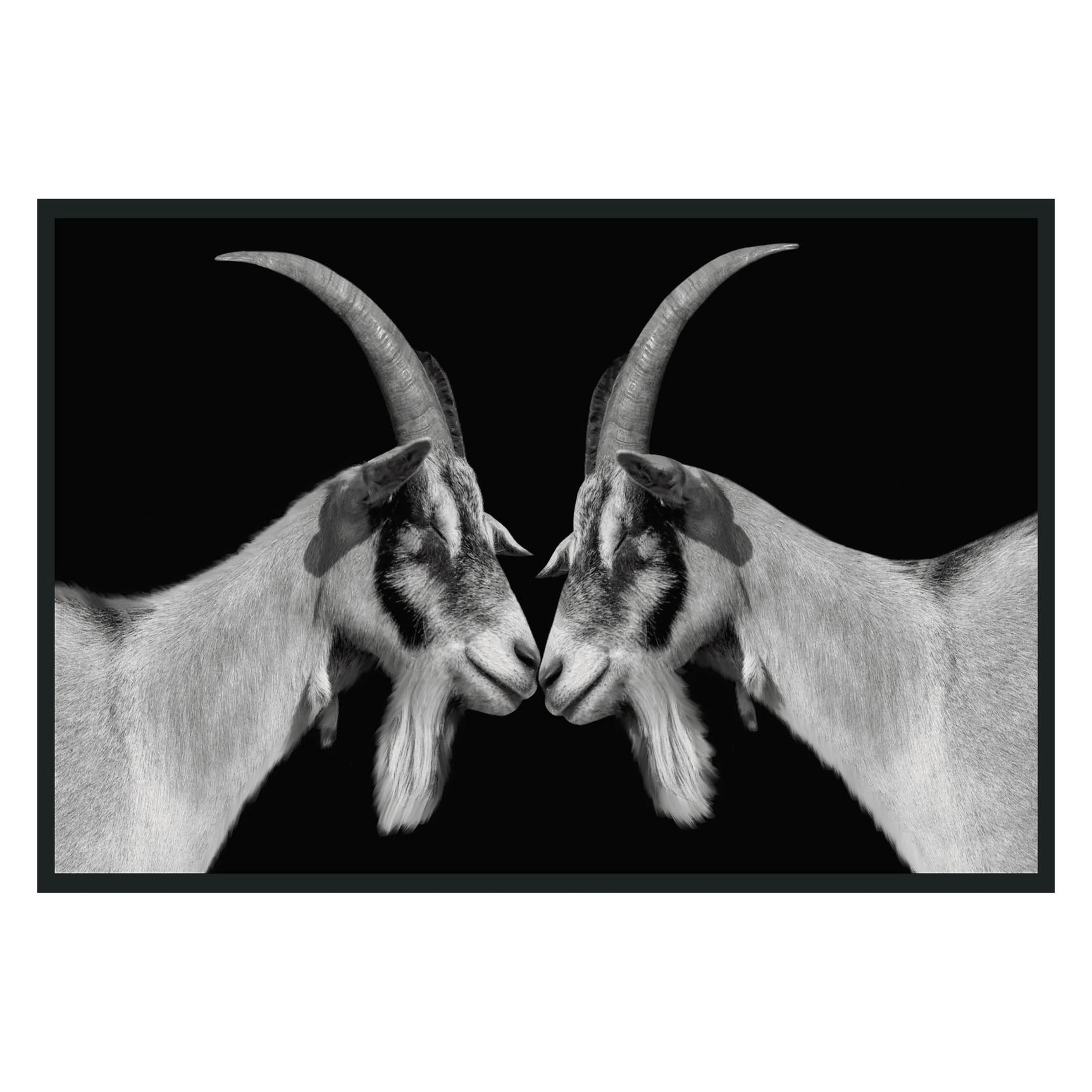 Goat Black/White Photography 48x72 - Ornate Home