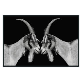 Goat Black/White Photography 48x72 - Ornate Home