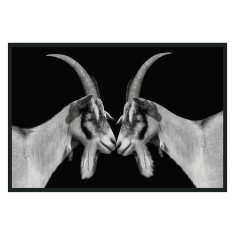 Goat Black/White Photography 48x72 - Ornate Home