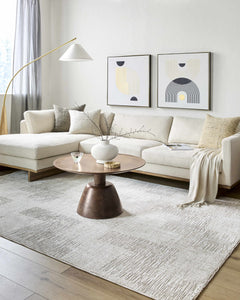 Goren Gray Area Rug - Ornate Home