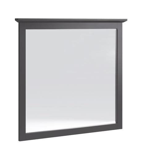 Grace Wall or Dresser Mirror in Raven Black - Ornate Home