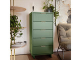 Granville 23.62 Chest in Sage Green - Ornate Home