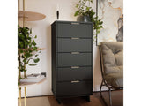 Granville Tall 23.62 Narrow Dresser in Dark Grey - Ornate Home