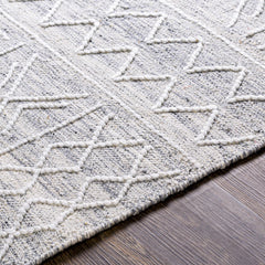 Gray Clintwood Wool Tassel Carpet - Clearance - Ornate Home