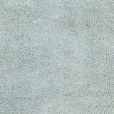 Greenbelt Area Rug - Clearance - Ornate Home