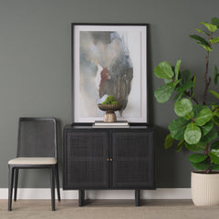 Grier Matte Black Wood Cane Accent Cabinet
