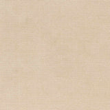 Gwen Washable Area Rug - Clearance - Ornate Home