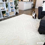 Gyundyukoru Area Rug - Clearance - Ornate Home