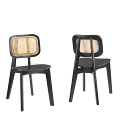 Habitat Black Wood Dining Side Chair (Set of 2) - Ornate Home