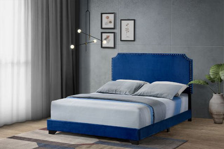 Haemon Blue Queen Bed - Ornate Home