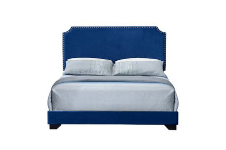 Haemon Blue Queen Bed - Ornate Home