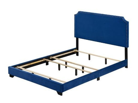 Haemon Blue Queen Bed - Ornate Home