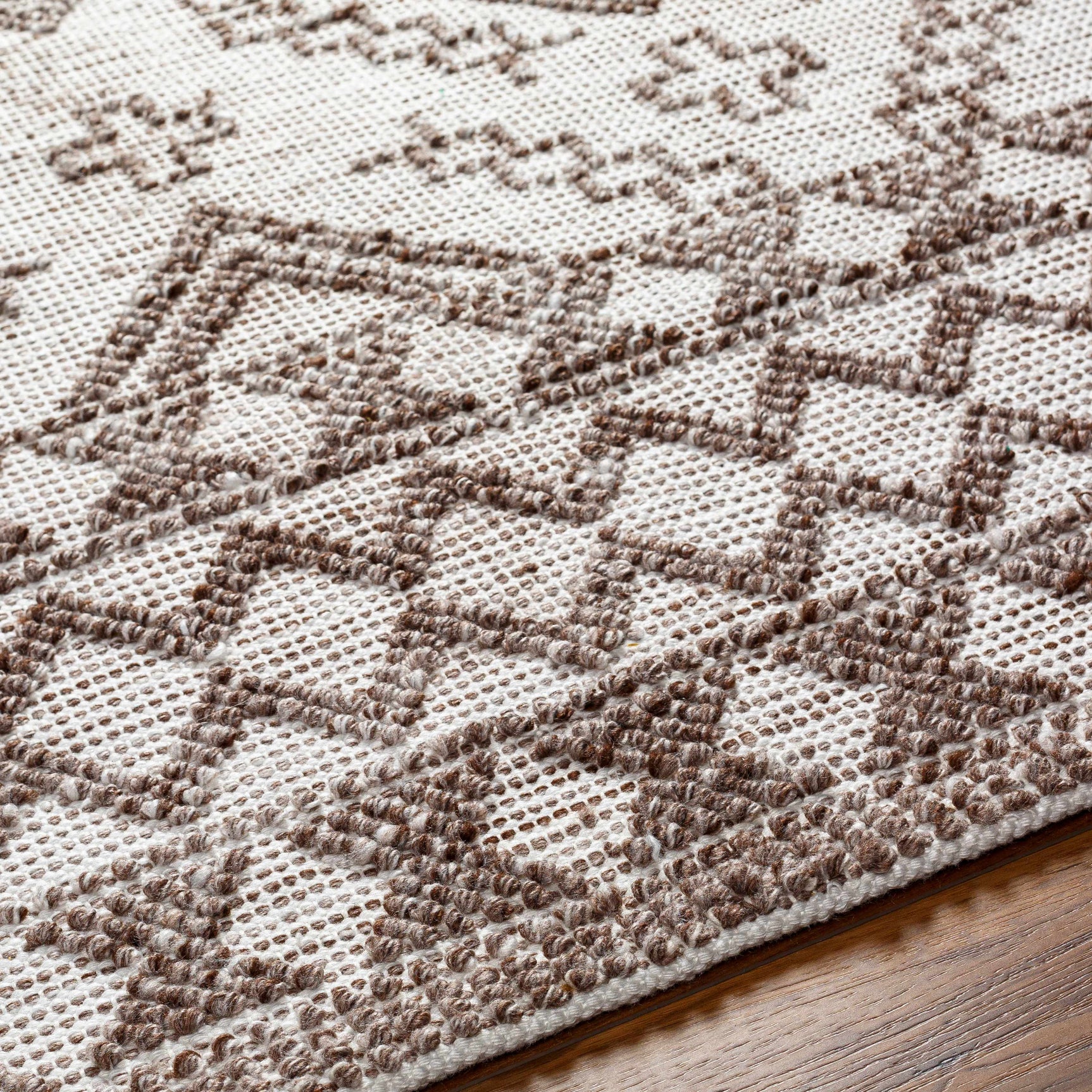 Hanh Area Rug - Clearance - Ornate Home