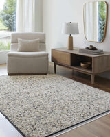 Haran Cloud Gray Area Rug - Ornate Home