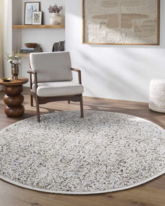 Haran Cloud Gray Area Rug - Ornate Home