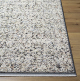 Haran Cloud Gray Area Rug - Ornate Home