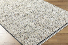 Haran Cloud Gray Area Rug - Ornate Home