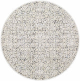 Haran Cloud Gray Area Rug - Ornate Home