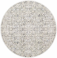 Haran Cloud Gray Area Rug - Ornate Home