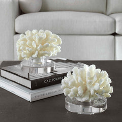 Hard Coral White Sculptures (Set of 2) - Ornate Home