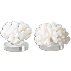 Hard Coral White Sculptures (Set of 2) - Ornate Home
