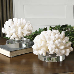 Hard Coral White Sculptures (Set of 2) - Ornate Home