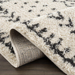 Hauppauge Berber Shag Carpet - Clearance - Ornate Home