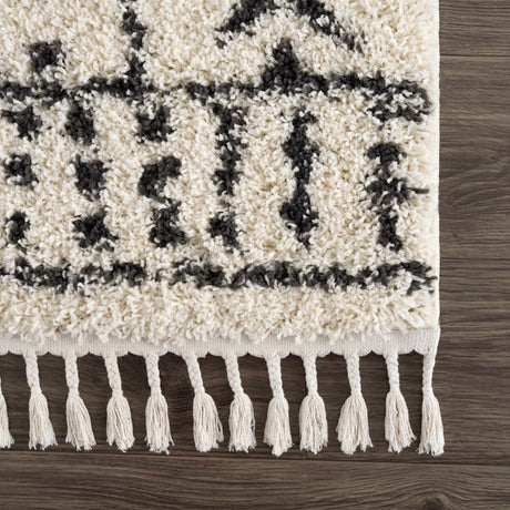 Hauppauge Berber Shag Carpet - Ornate Home