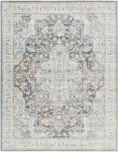 Hayfa Area Rug - Clearance - Ornate Home