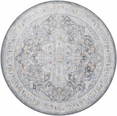 Hayfa Area Rug - Clearance - Ornate Home