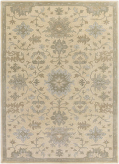 Hazen 1197 Hand Tufted Light Beige Wool Rug - Ornate Home