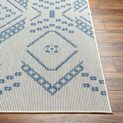 Helga Blue Outdoor Area Rug - Clearance - Ornate Home