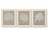 Hendridge Taupe/White Wall Art Set (Set of 3) (Online Special Price) - Ornate Home
