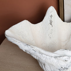 Henley White Resin Shell Sculpture - Ornate Home