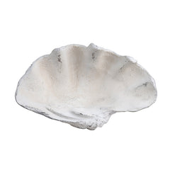 Henley White Resin Shell Sculpture - Ornate Home