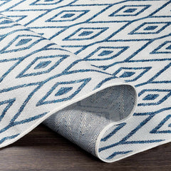 Henty Outdoor Area Carpet - Clearance - Ornate Home