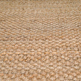 Herndon Braided Jute Rug - Ornate Home