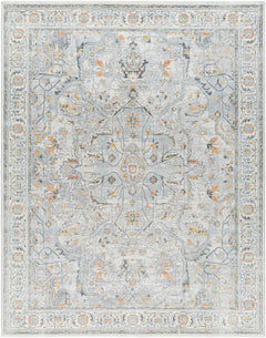 Hewez Area Rug - Clearance - Ornate Home