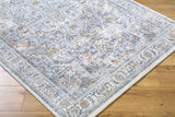 Hewez Area Rug - Clearance - Ornate Home