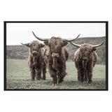 Highland Brown Photography 48x72 - Ornate Home