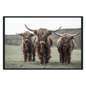 Highland Brown Photography 48x72 - Ornate Home
