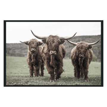 Highland Brown Photography 48x72 - Ornate Home