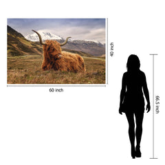 Highland Cow II Tempered Glass w / Foil Wall Art - Ornate Home