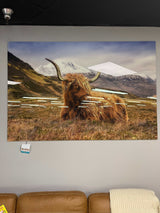 Highland Cow II Tempered Glass w / Foil Wall Art - Ornate Home